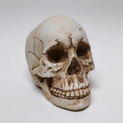 卸売白い樹脂の頭蓋骨像スカルヘッド彫刻ハロウィン装飾装飾品クラフトギフト
